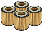 aFe Pro GUARD D2 Oil Filter 06-19 BMW Gas Cars L6-3.0T N54/55 - 4 Pack