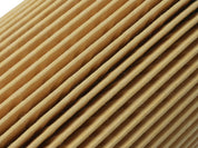 aFe ProGuard D2 Fluid Filters Oil F/F OIL BMW Gas Cars 96-06 L6