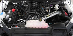 AEM Induction