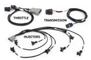 Haltech NEXUS Rebel LS Gen III Cable Throttle/EV1 Injectors/Manual Transmission