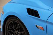Photo - Close Up