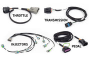 Haltech NEXUS Rebel LS Gen IV 6-Pin DBW Throttle/EV6 Injectors/Manual Transmission