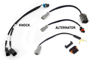 Haltech NEXUS Rebel LS Gen III Cable Throttle/EV1 Injectors/Manual Transmission