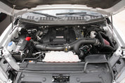 K&N 2017-2018 Ford F-150 Ecoboost 3.5L F/I AirCharger Performance Intake