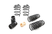 Eibach Pro-Kit for 09+ Hyundai Genesis Coupe