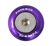 NRG Fender Washer Kit w/Rivets For Plastic (Purple) - Set of 10